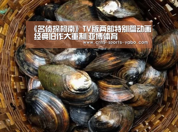 《名侦探柯南》TV版两部特别篇动画 经典旧作大重制|亚博体育(图1) 亚博体育官网